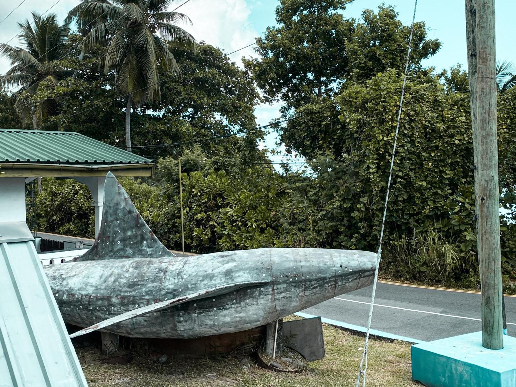 Divers Lodge Guest House Beau Vallon  Exteriör bild