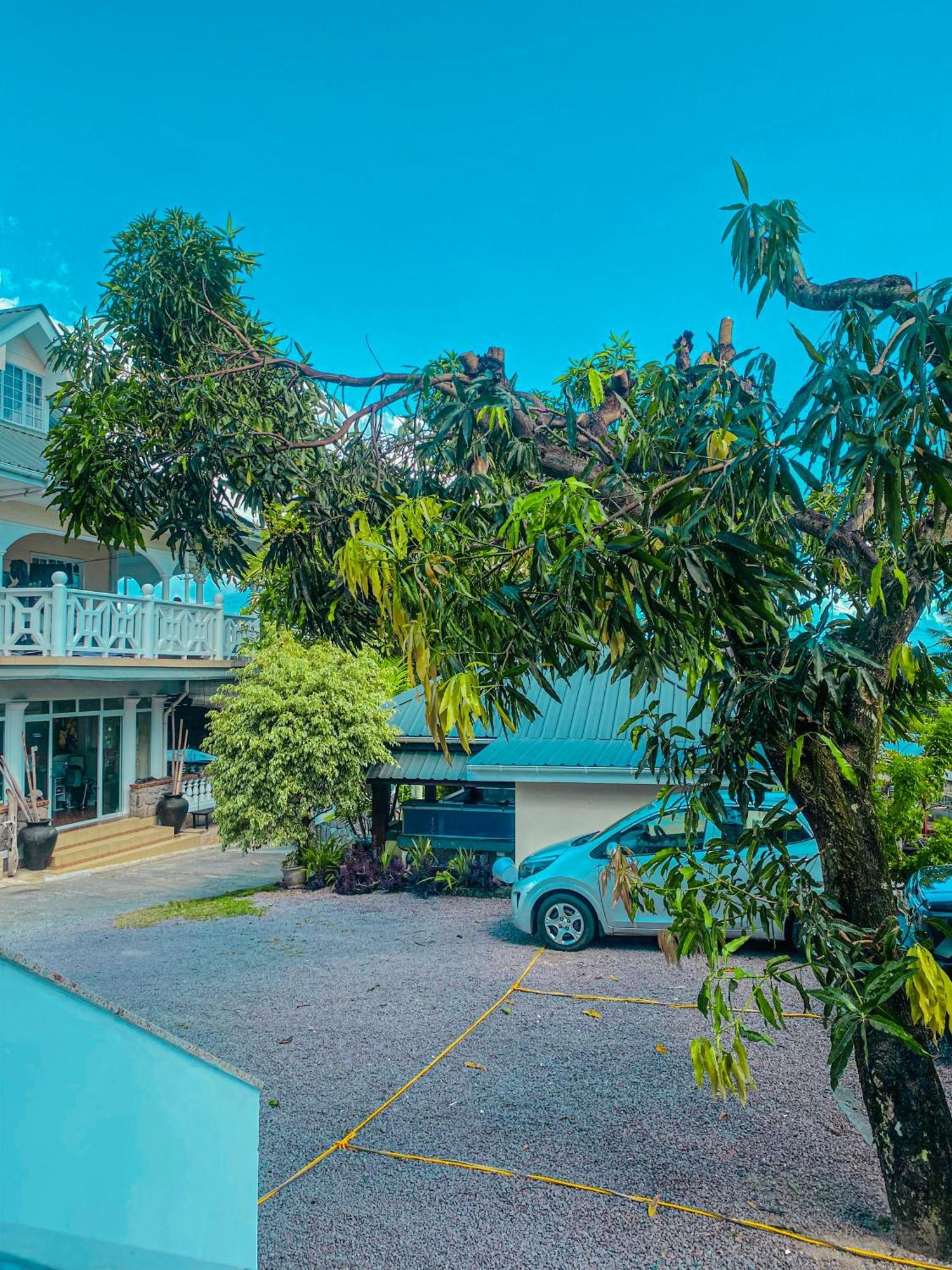 Divers Lodge Guest House Beau Vallon  Exteriör bild