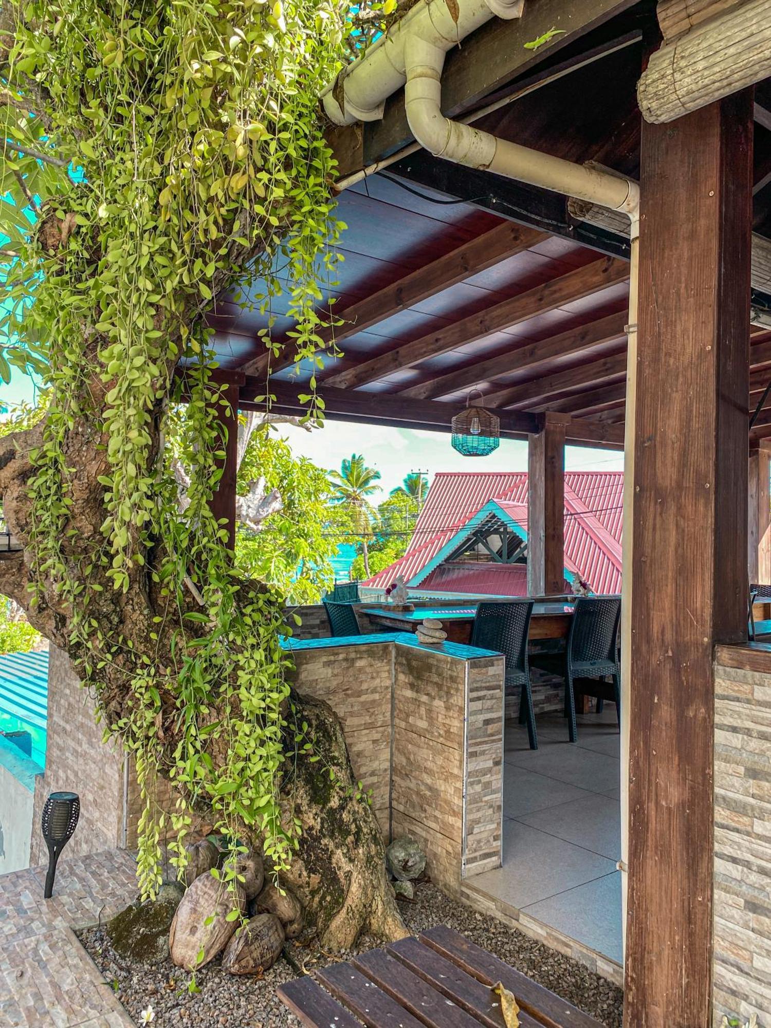 Divers Lodge Guest House Beau Vallon  Exteriör bild