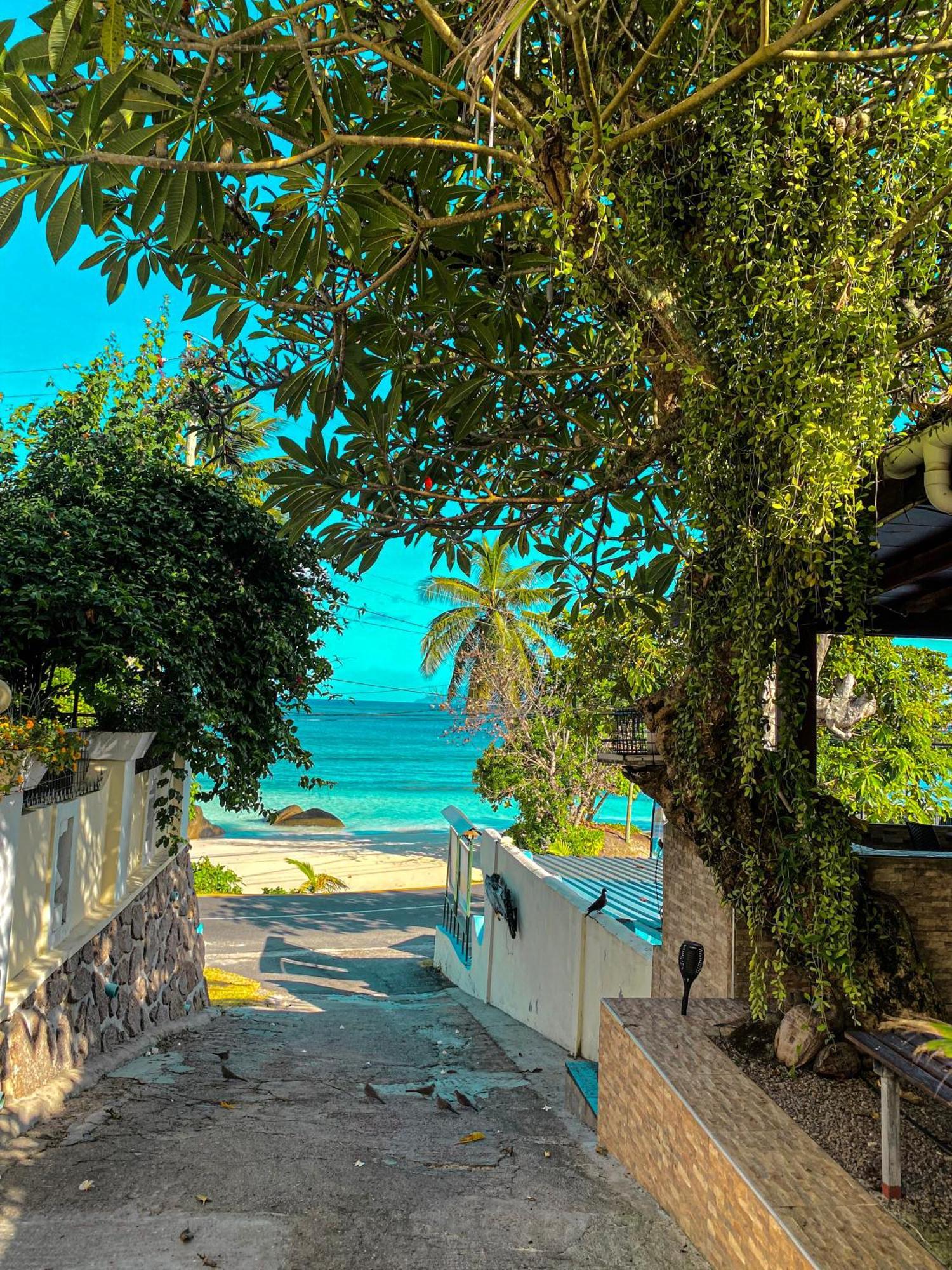 Divers Lodge Guest House Beau Vallon  Exteriör bild