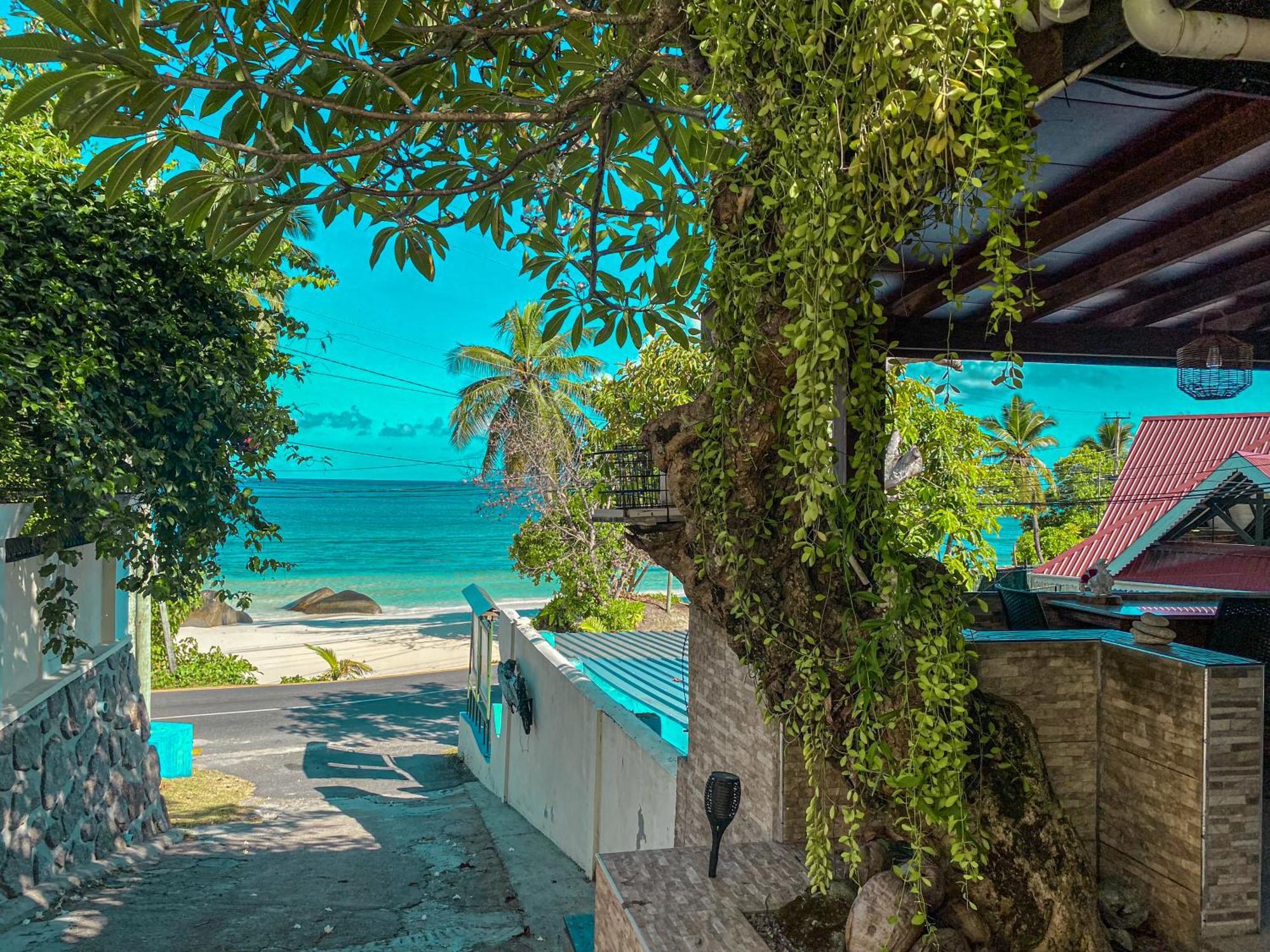 Divers Lodge Guest House Beau Vallon  Exteriör bild